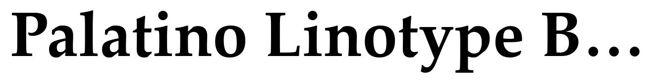 Palatino Linotype Bold